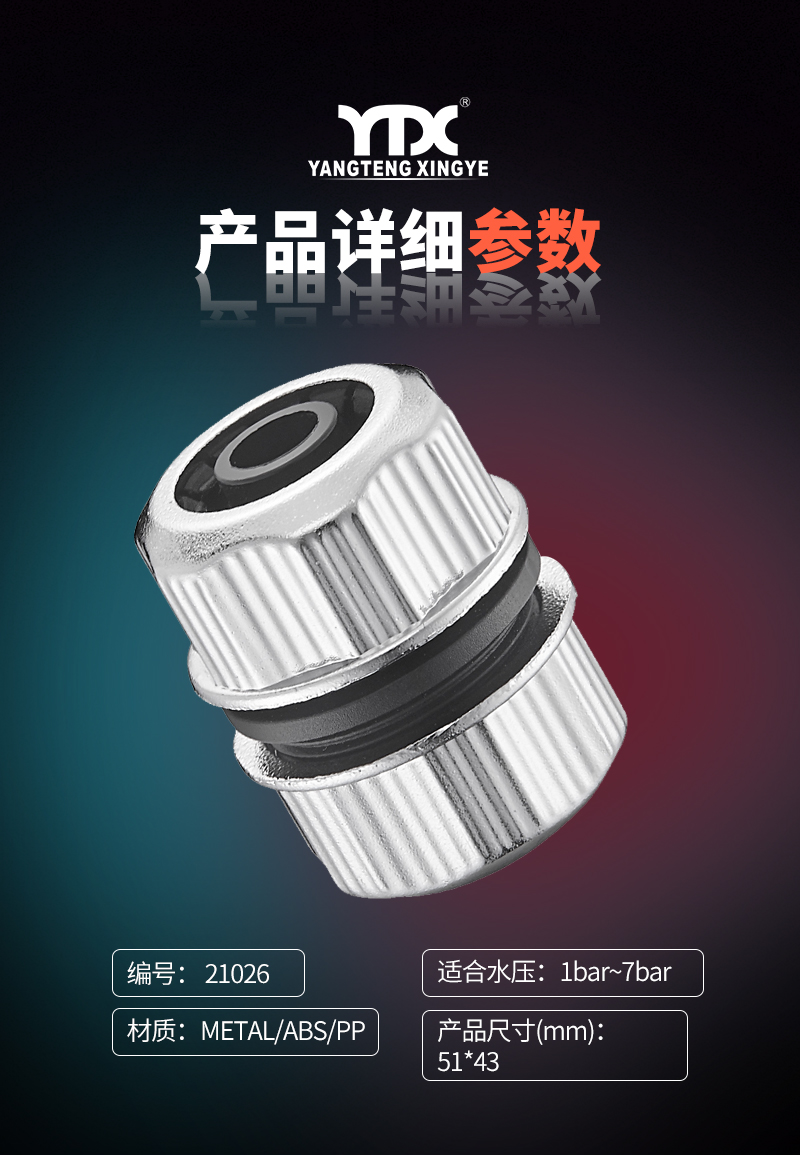 中文_05