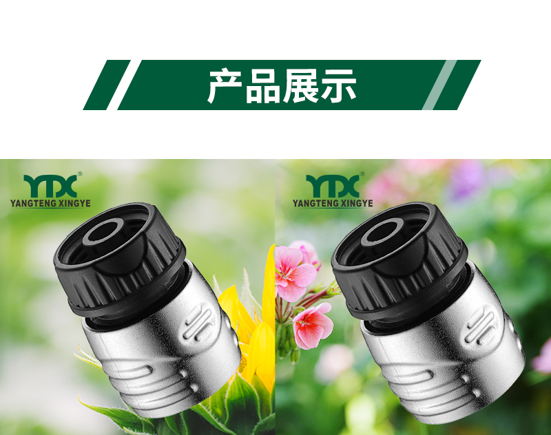 中文_06