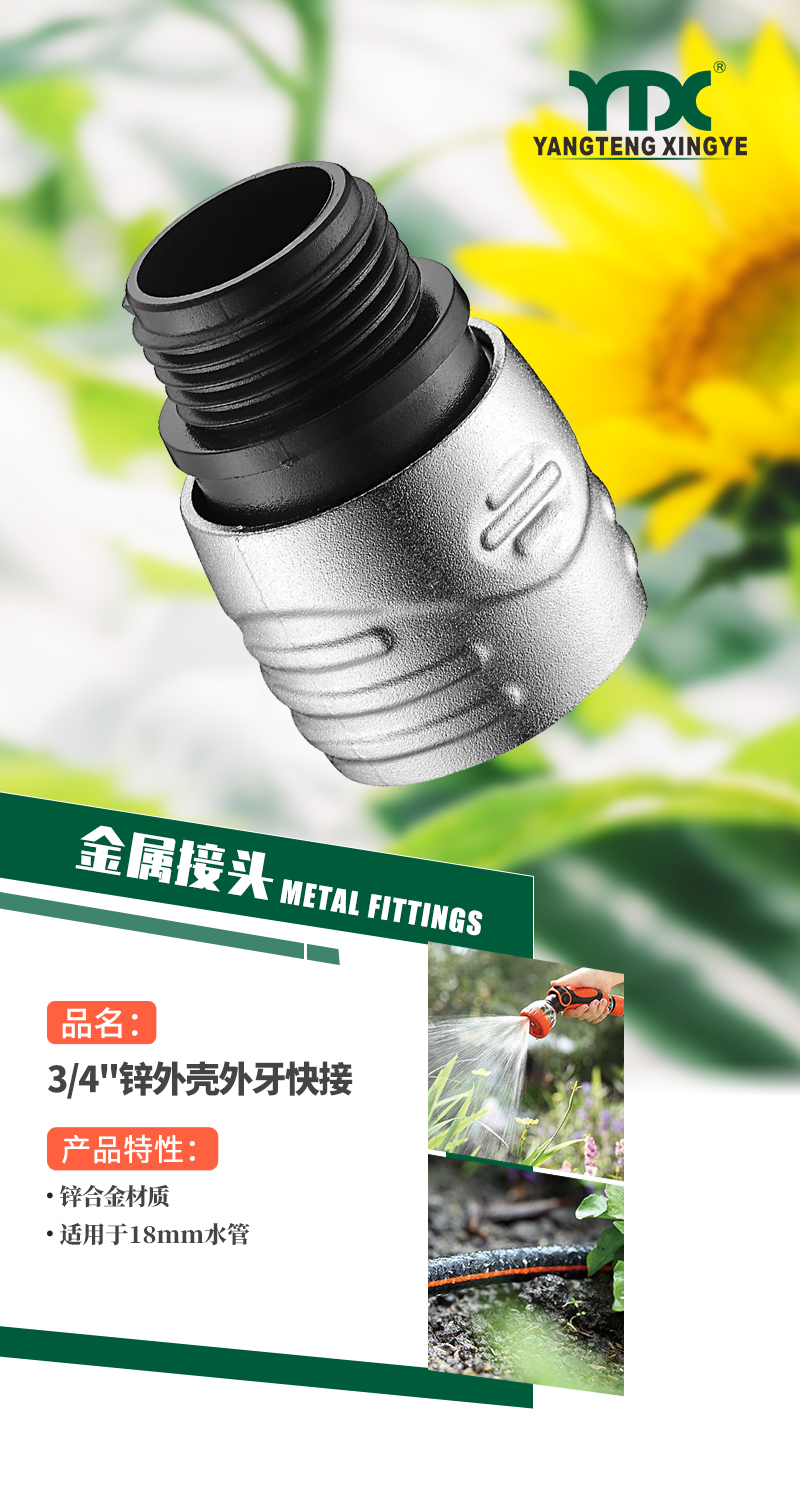 中文_01