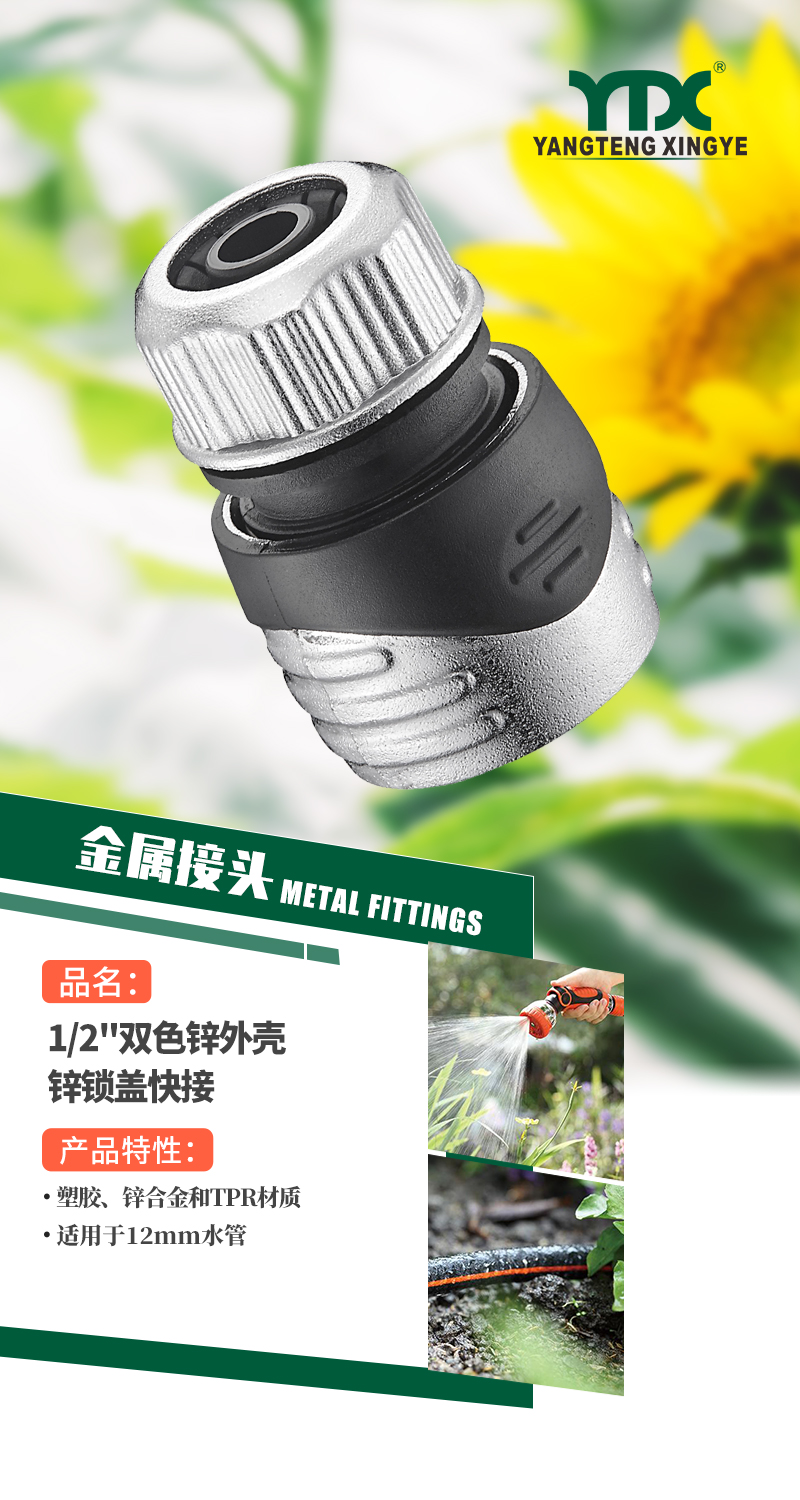 中文_01