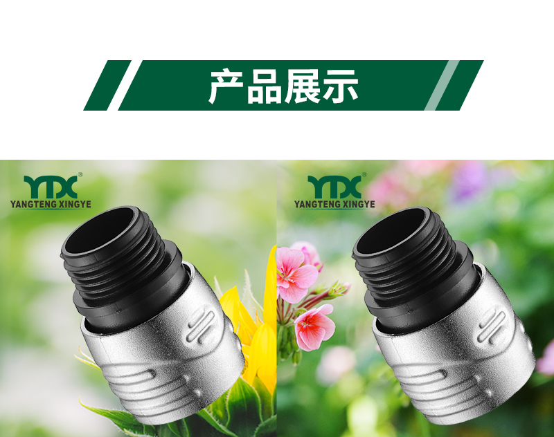 中文_06