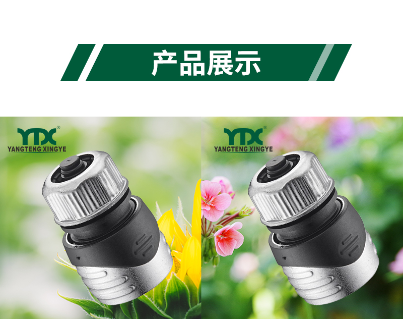 中文_06