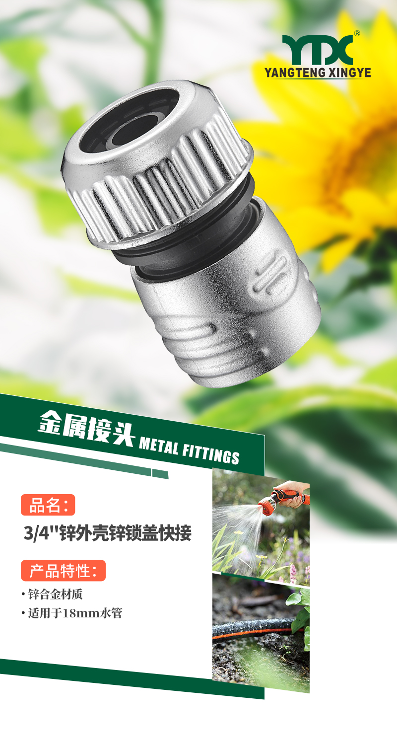 中文_01