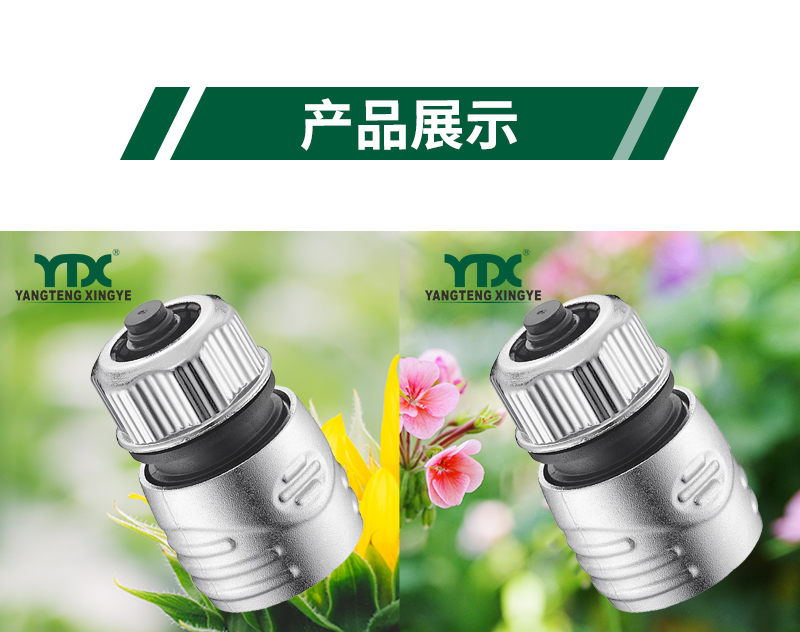 中文_06