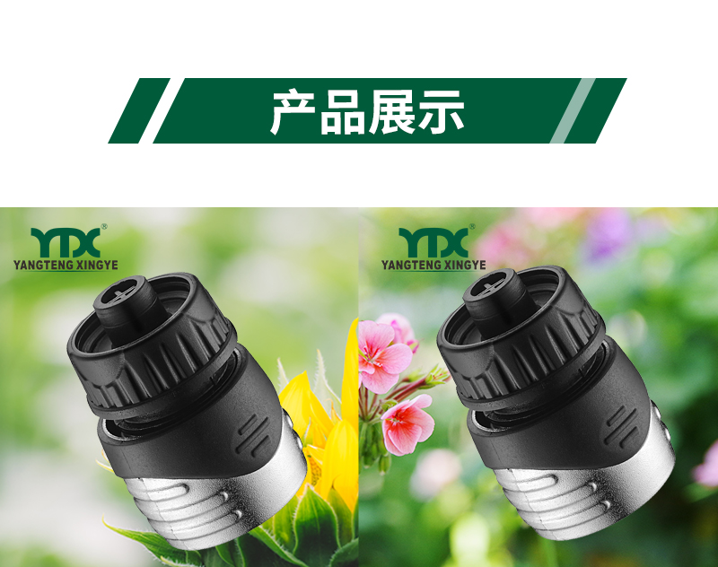 中文_06