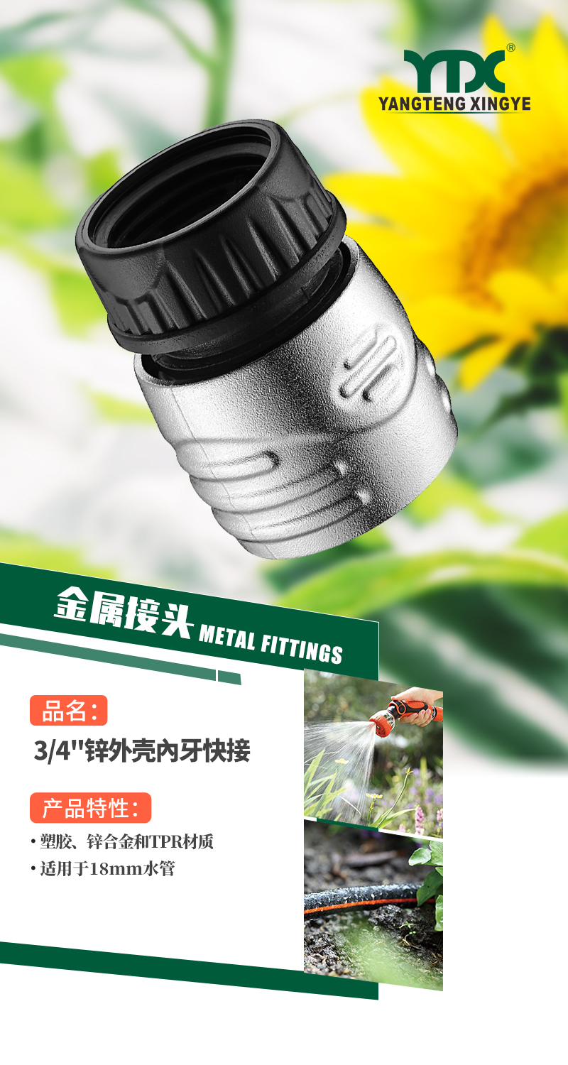 中文_01