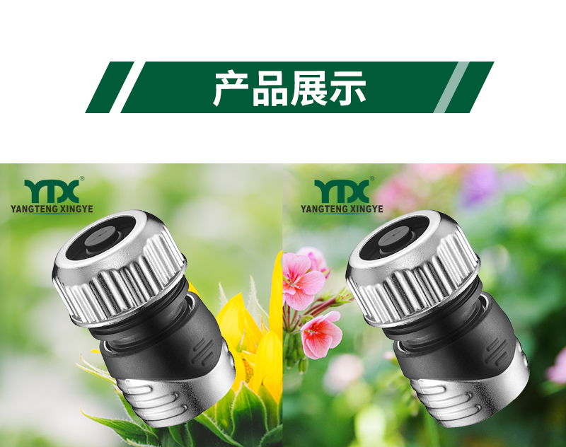 中文_06
