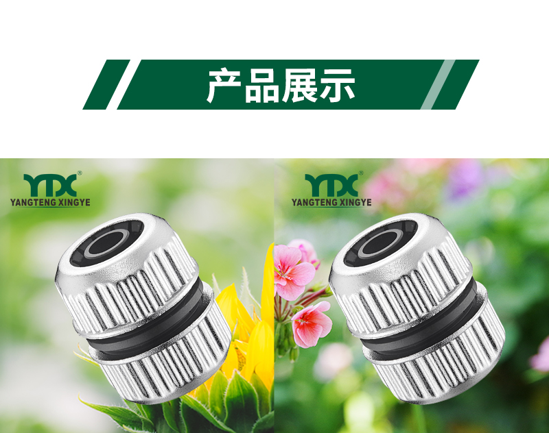 中文_06