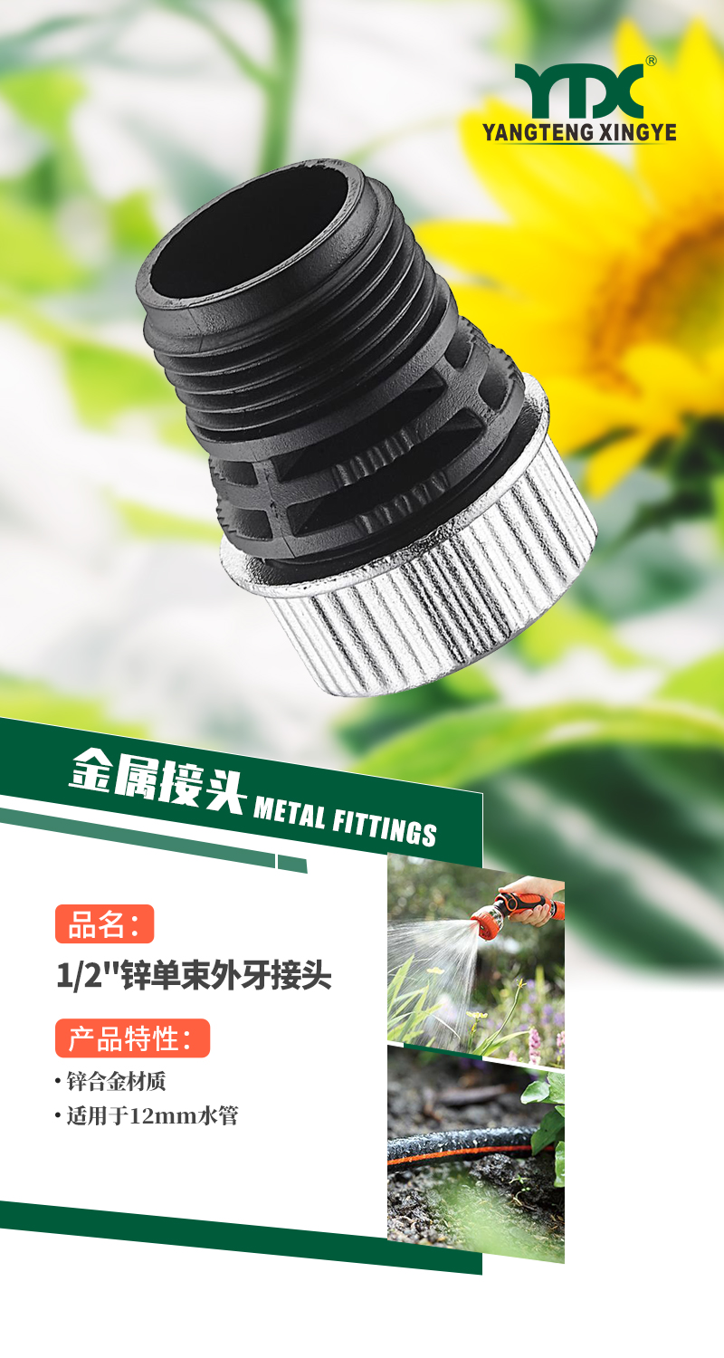 中文_01
