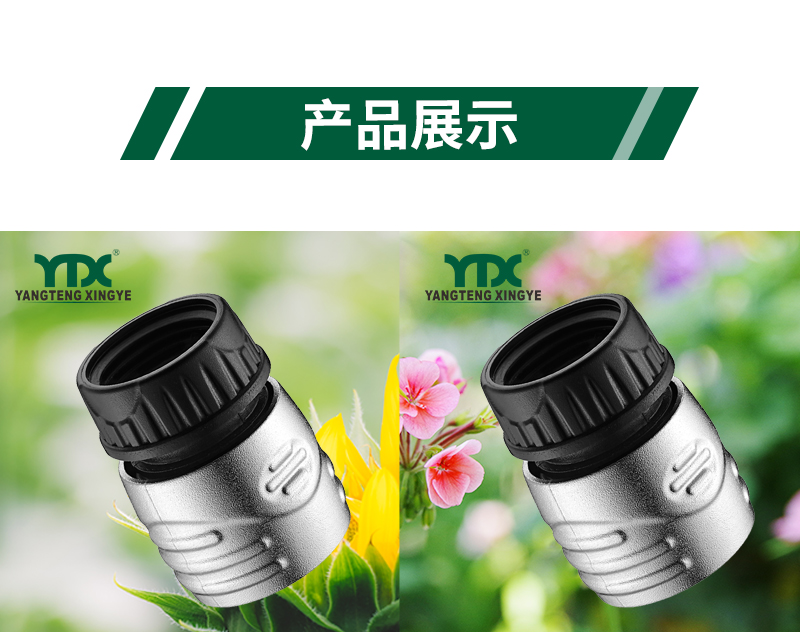 中文_06