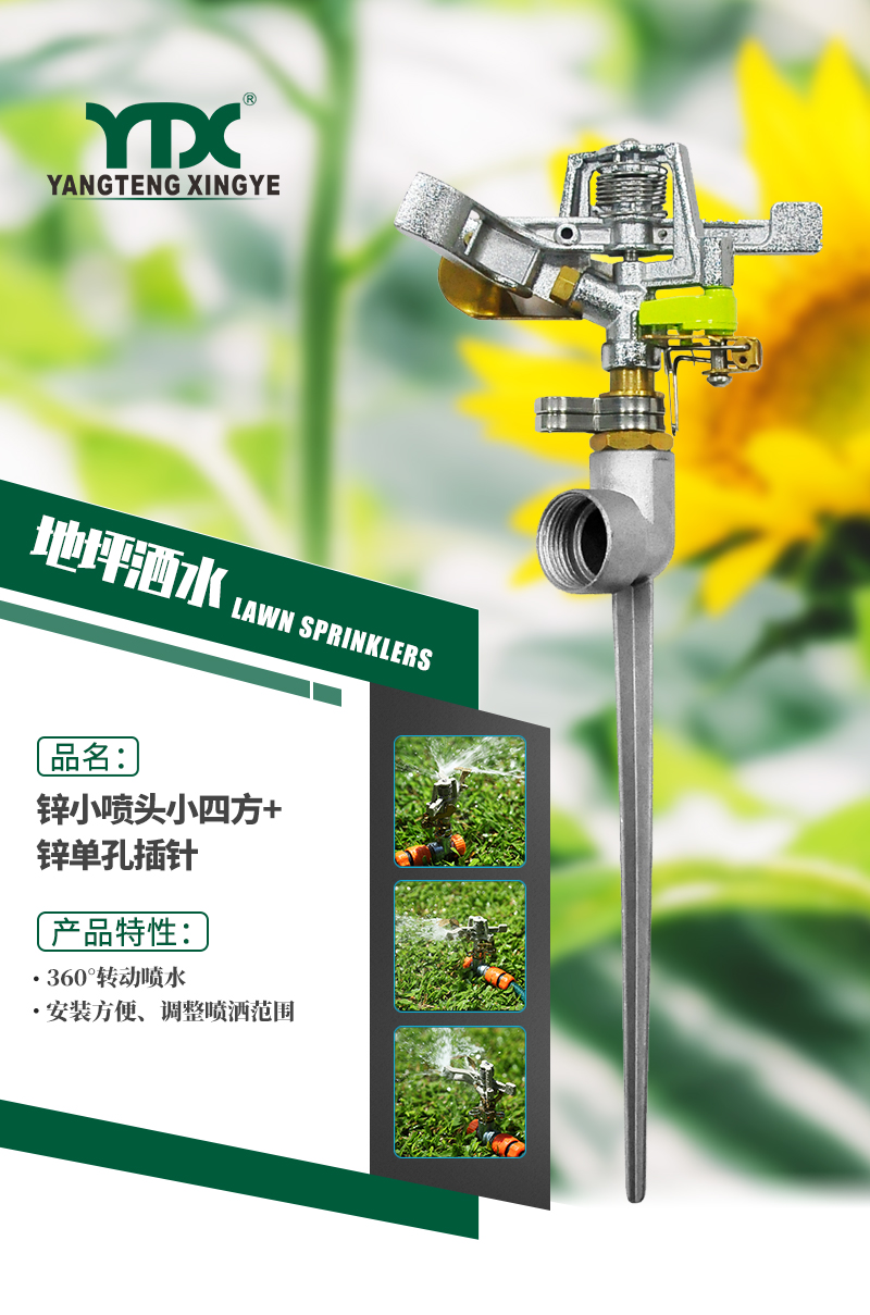 中文_01