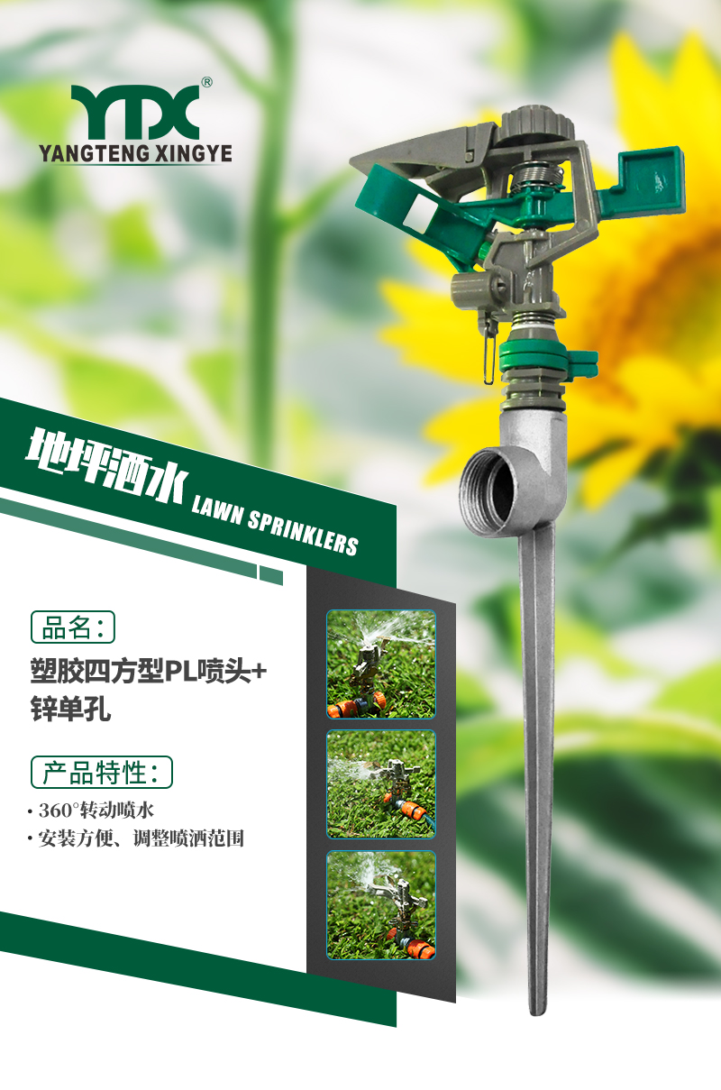 中文_01