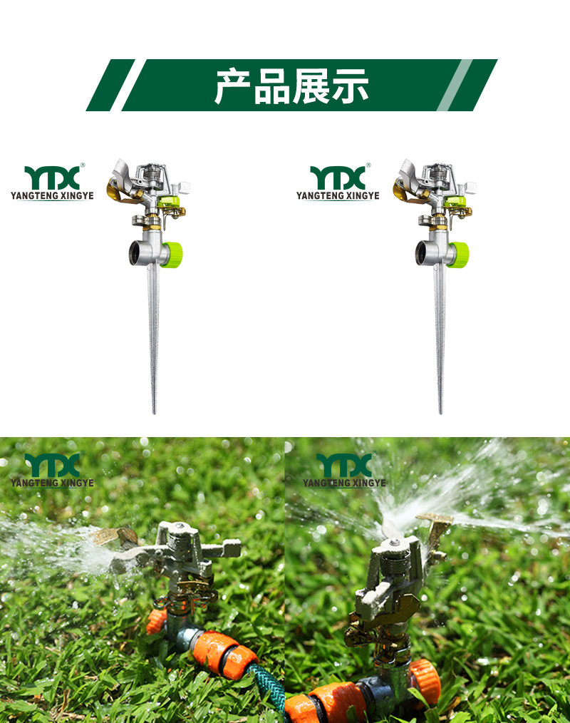 中文_05