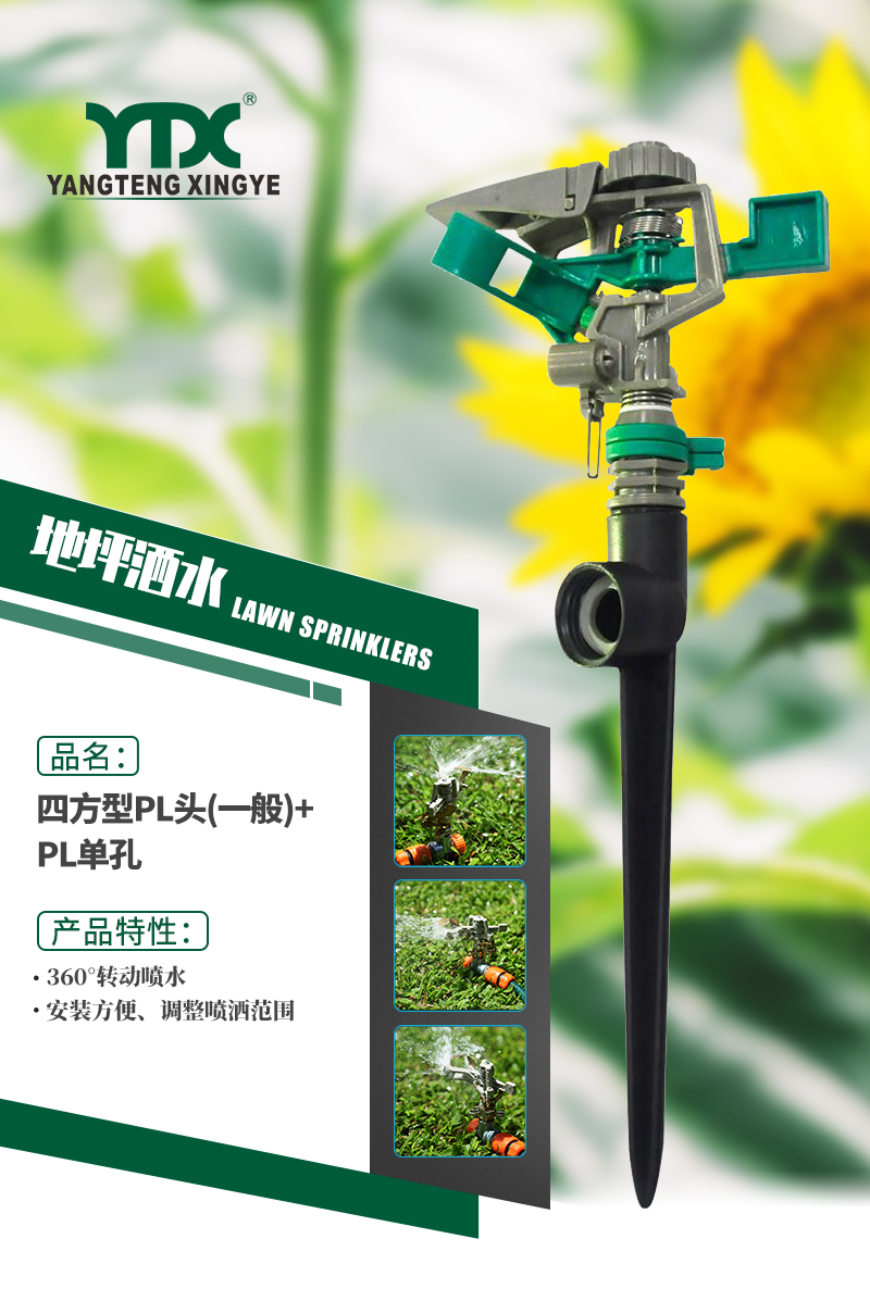 中文_01