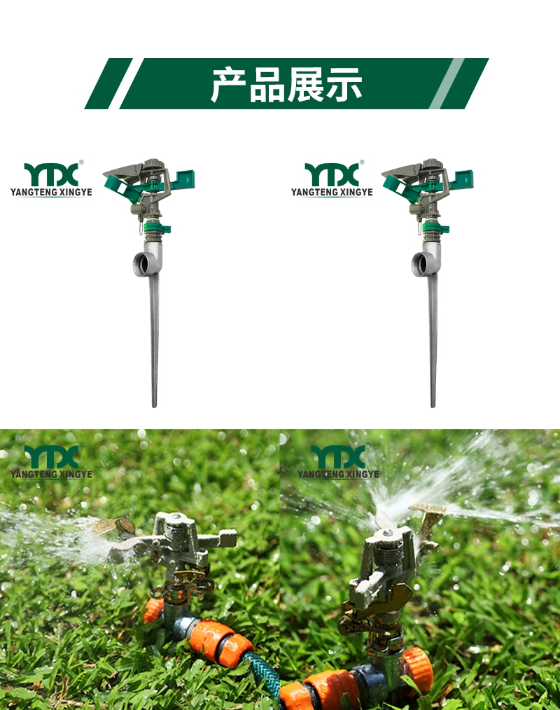 中文_05
