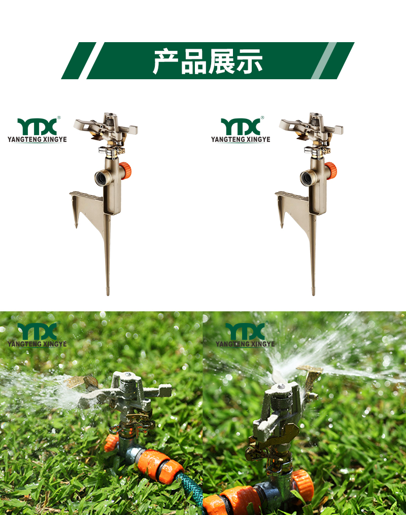 中文_05