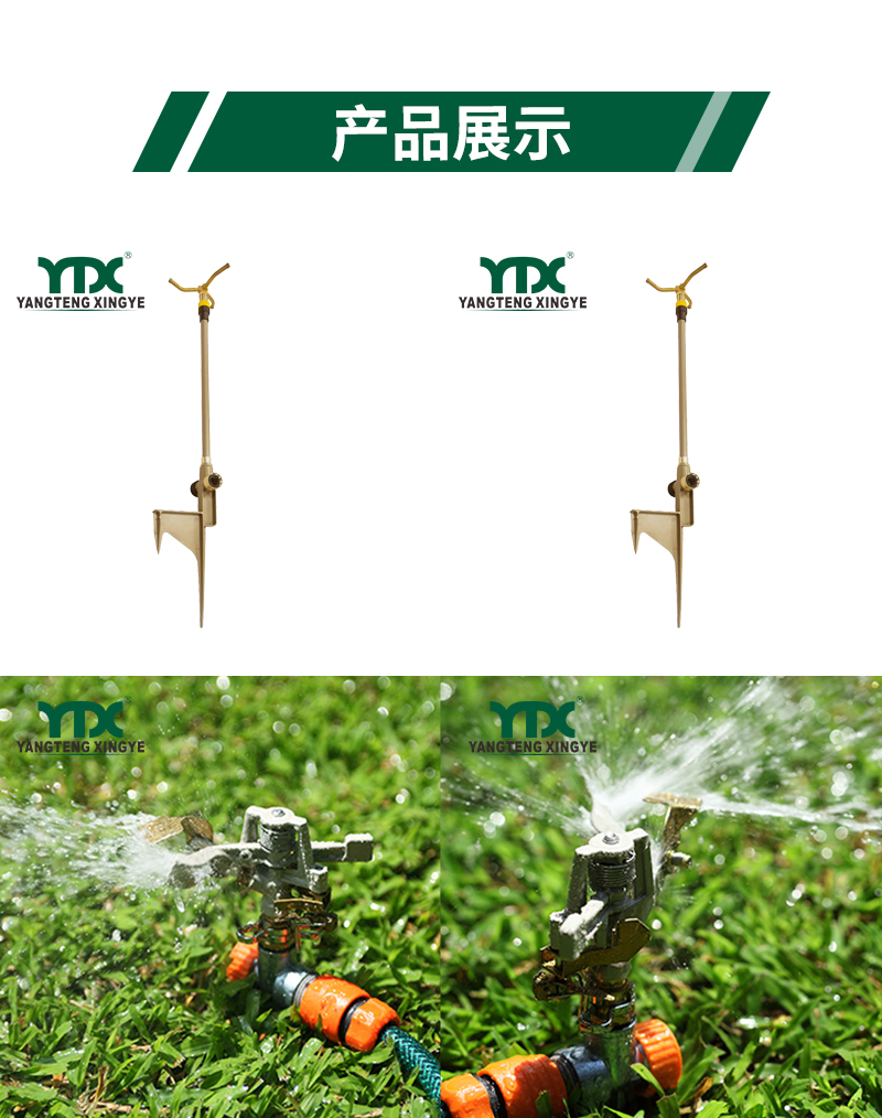 中文_05