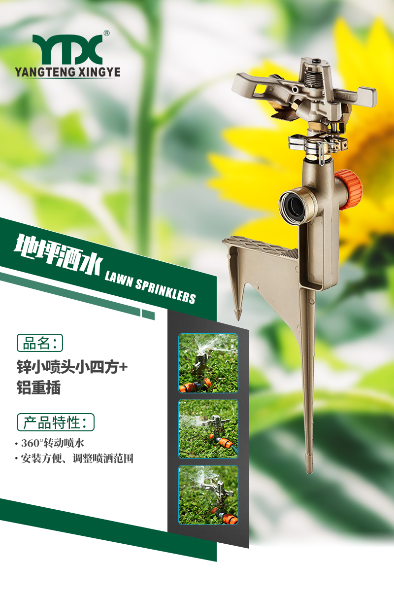中文_01