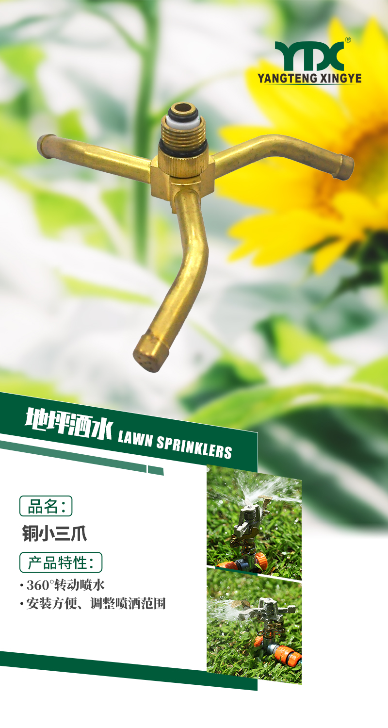 中文_01