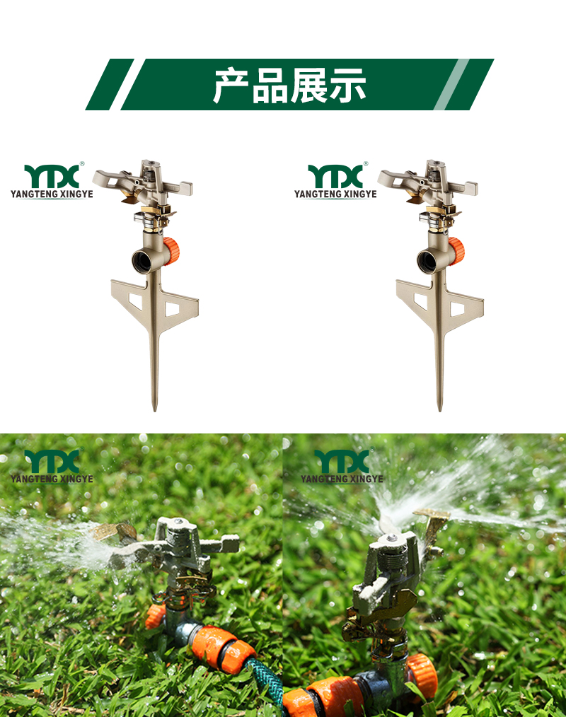 中文_05