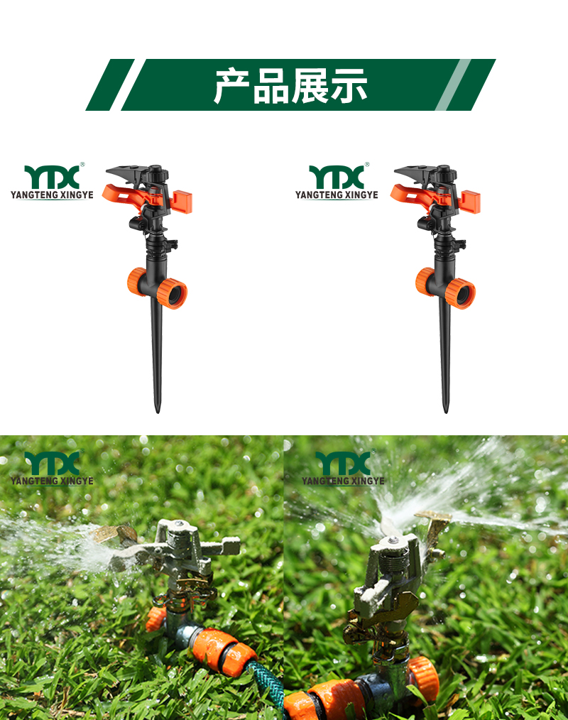 中文_05