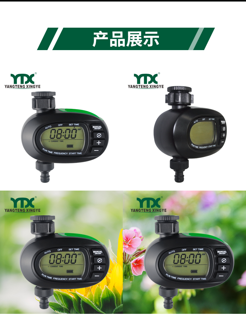 中文_06