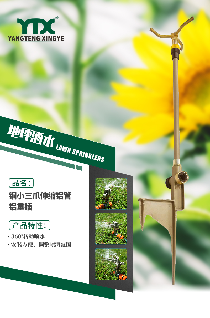 中文_01