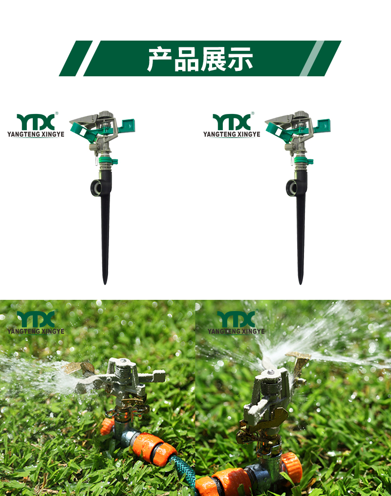 中文_05