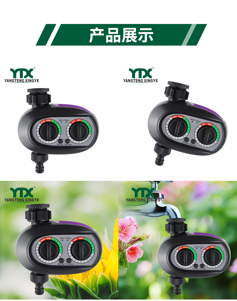 中文_06