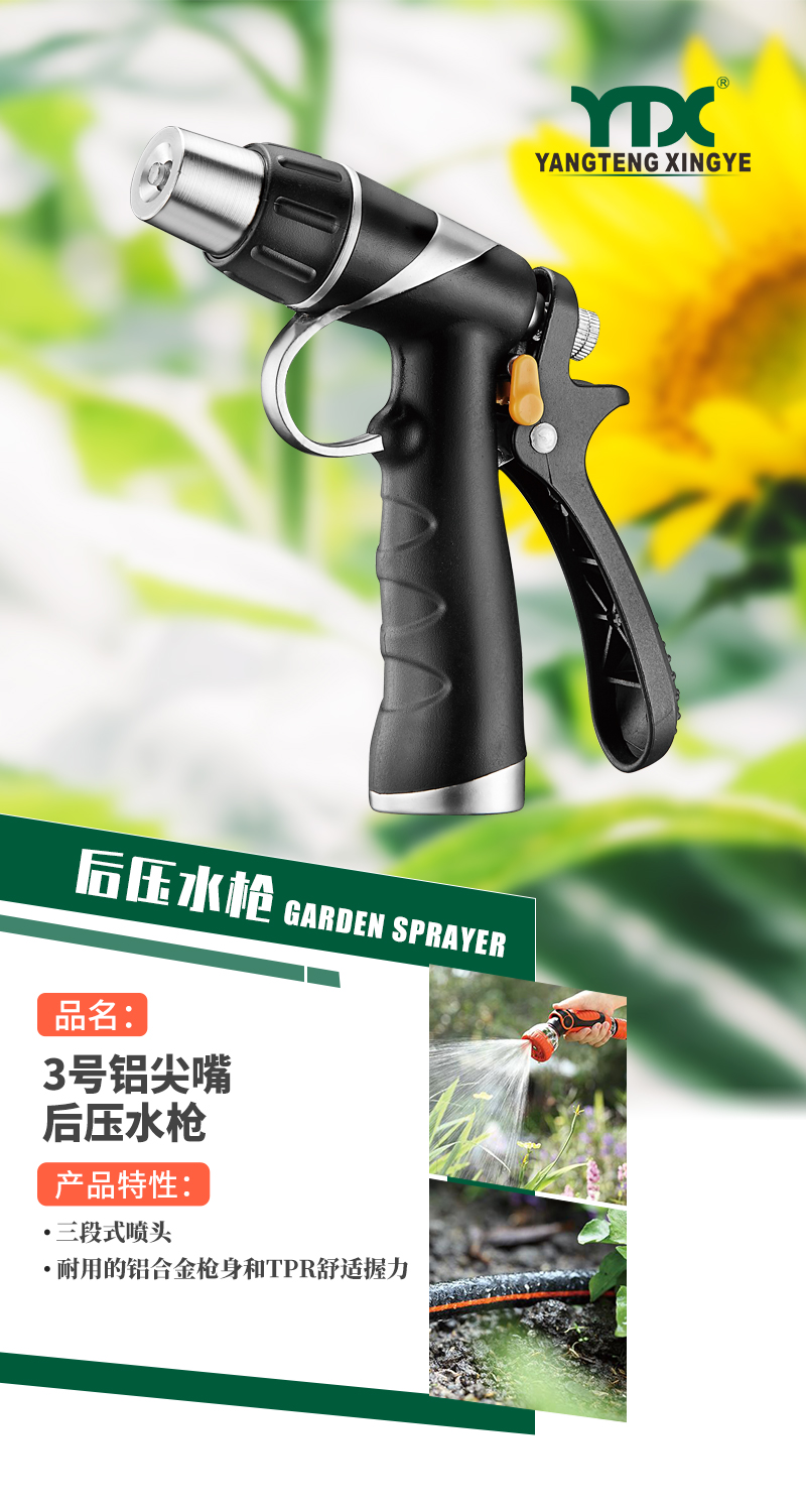 中文_01