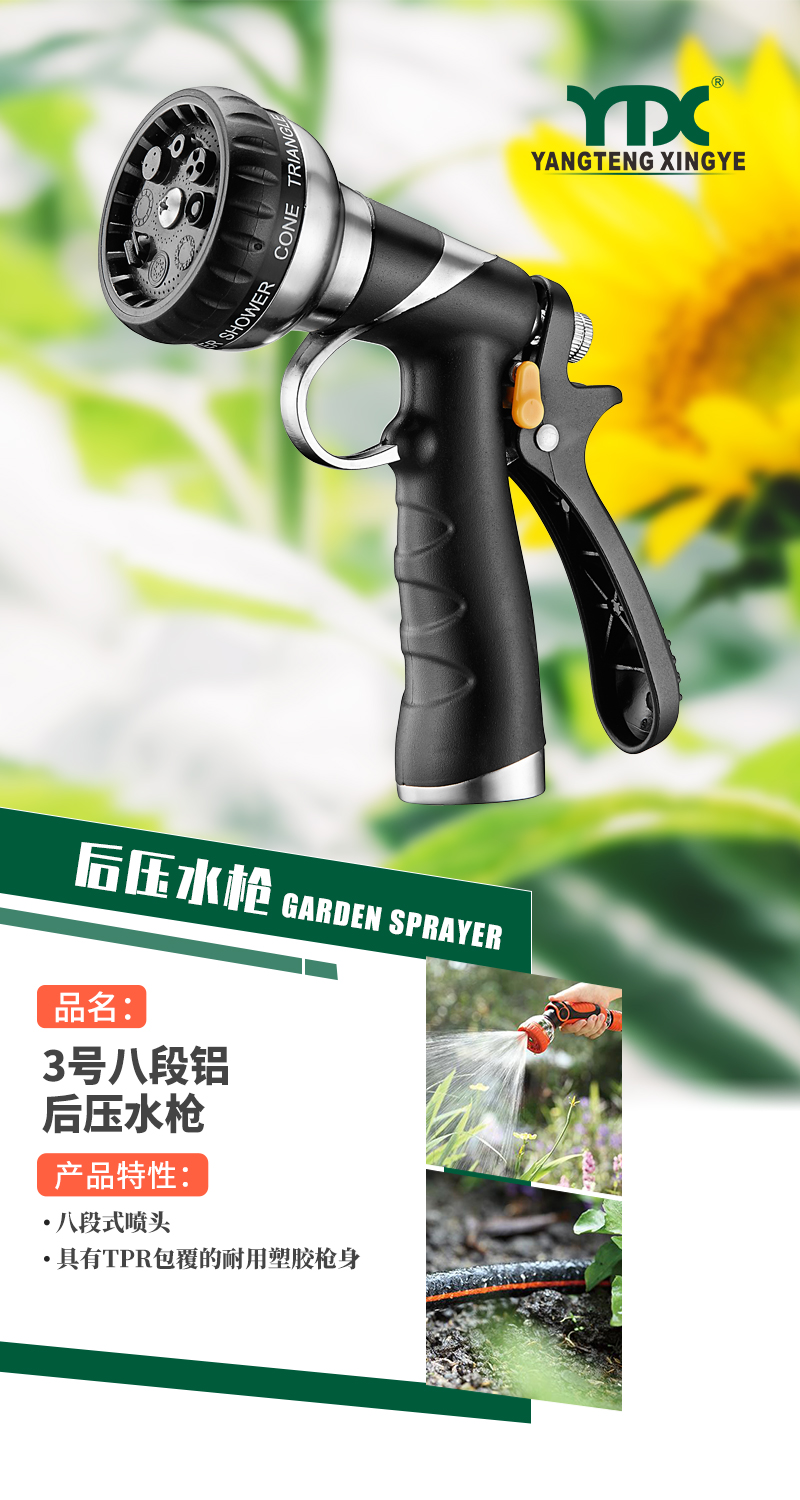 中文_01